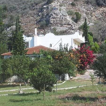 Villa Dunes 350M From The Sandy Beach Kalogria  Eksteriør billede