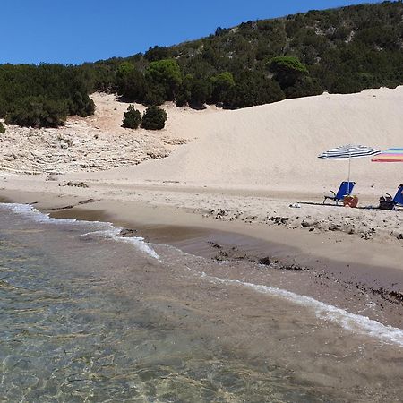 Villa Dunes 350M From The Sandy Beach Kalogria  Eksteriør billede