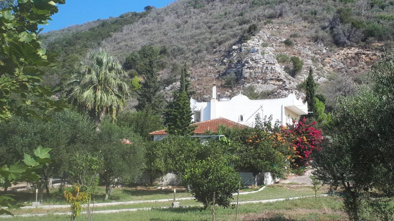 Villa Dunes 350M From The Sandy Beach Kalogria  Eksteriør billede